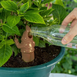 Selvvander, Brun nisse