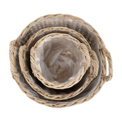 Skinbjerg - Lav Urtepotteskjuler, lille