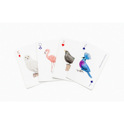 Spillekort - Birds