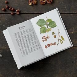 Spiselige vilde frugter, 2. udgave