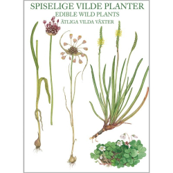 SPISELIGE VILDE PLANTER - 8 forskellige dobbeltkort