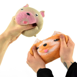 Squeeze Hund, 9 cm, Chihuahua