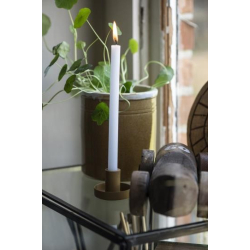 Stage t/kertelys mustard 