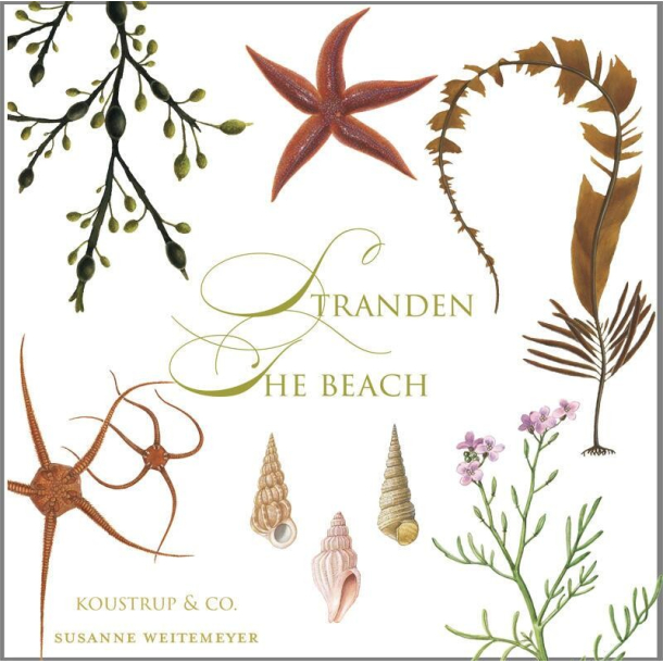 STRANDEN - 8 forskellige dobbeltkort