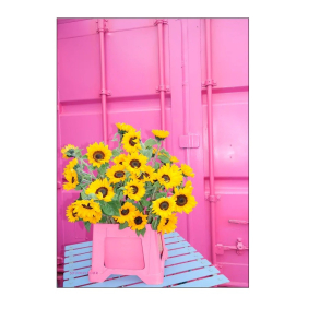 Studio Flr, Shining Mess, A5