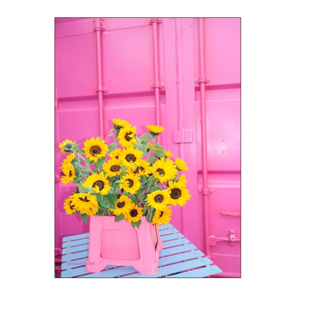 Studio Flr, Shining Mess, A5