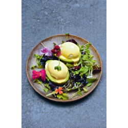 The Avocado Book (engelsk)