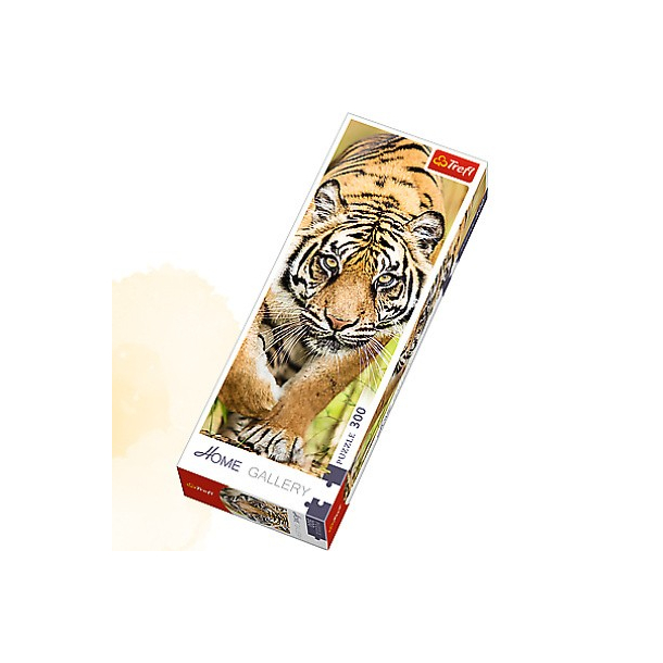 Tiger, 300 brikker
