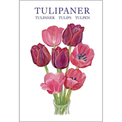 TULIPANER - 8 forskellige dobbeltkort