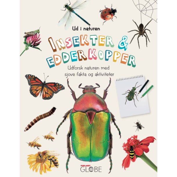 Ud i naturen: Insekter og edderkopper