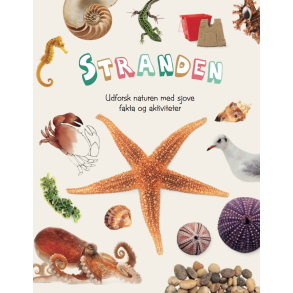 Ud i naturen: Stranden