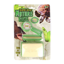 Udgravningsst Nature Fossil